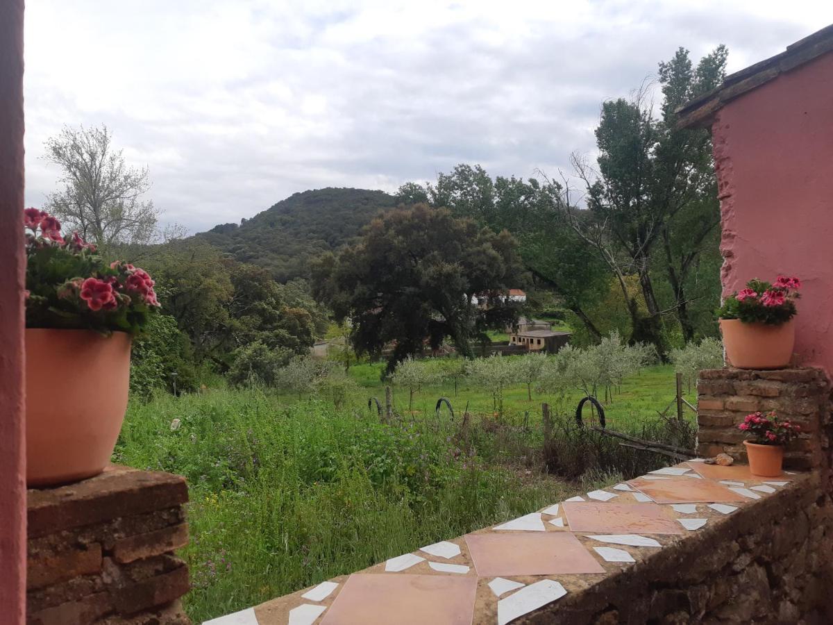 Bonita Casa Rural En La Sierra De Aracena La Presa  Kültér fotó
